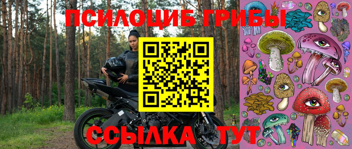 Галлюциногенные грибы Psilocybe  Галлюциногенные грибы Cubensis  Шелехов  Вход с VPN 